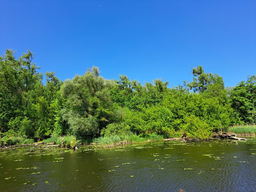 wycieczka szczecin